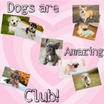 Dog's are Amazing club