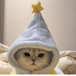 The Lost Star
