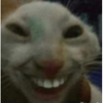 Goofy Cat Corporation