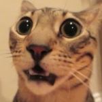 Hisoka face