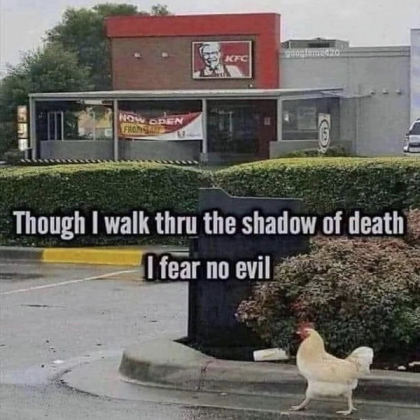 Funny chicken meme! Roblox decal