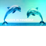 Diamond Dolphin Cheer Squad!