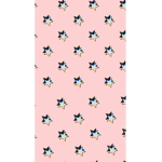 glossyy starss