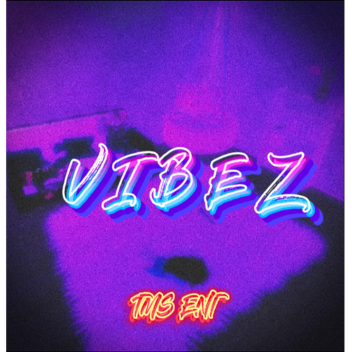 VIBEZ (TMS ENT CLOTHING)!!