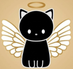 *Black Kitten*