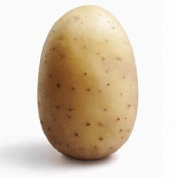 Potato