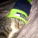 Washington Seattle Seahawks