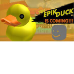 i will gib bobux