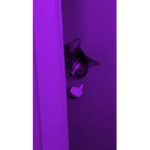 Sssparkles