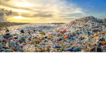 Garbage yay yay