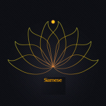 Siamese - Asian steak house