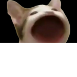 무지야 놀자~~!