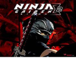 ninja king group