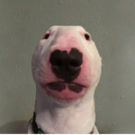 Soccer Is the best yaaaaaaaaaaaaaaaaaaaaaaaaaaaaaa