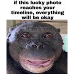 Take Gorilla Bananas!