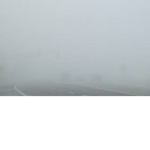 fogg