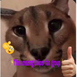 The amazing fans of Sniper_gg