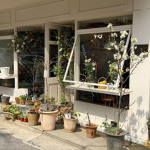 sunnystreetcorner