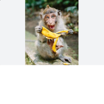 Stinky Monke Production