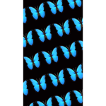 emmas butterflys