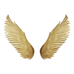 Epic wings Group