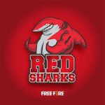 Die Red sharks Gruppe