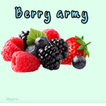 Kiwi Army YT