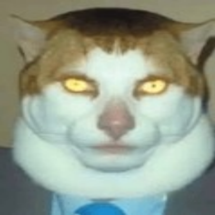 monday cat Roblox decal