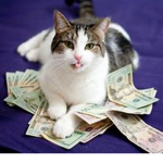 • CatBux •