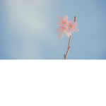 Life happens.
