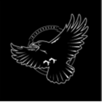 Avenue Ent