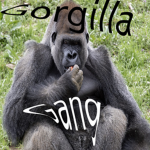 Gorgilla Gang
