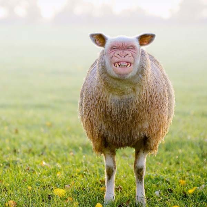 Funny Animal Hybrid Roblox decal