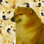 DOOGE gang