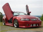 Mustang Fan
