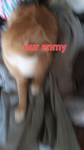 All rat's United!!!!!!!!!