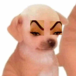 Ikicheems
