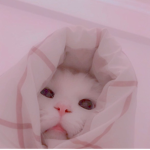 Queennie