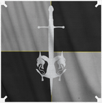 Divine Paladins of Astraeus