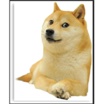 Meme group with doge