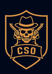 Combat Strategic Organization (CSO)