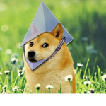Doge’es