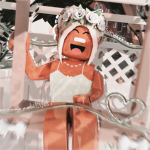 NotMaxRoblox