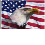 America's Studio