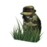 Camo Chomik