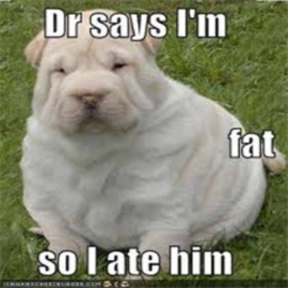 a doctor eater dog Roblox decal