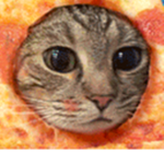 catpizza