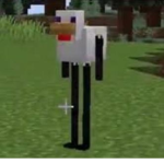 Chicken farm :D