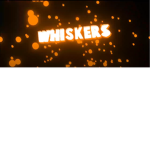 whiskers is cool club