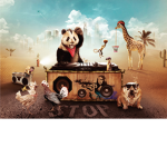The_Party Animals